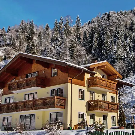 Modern Apartment In Gro Arl Salzburg With Sauna Apartment
